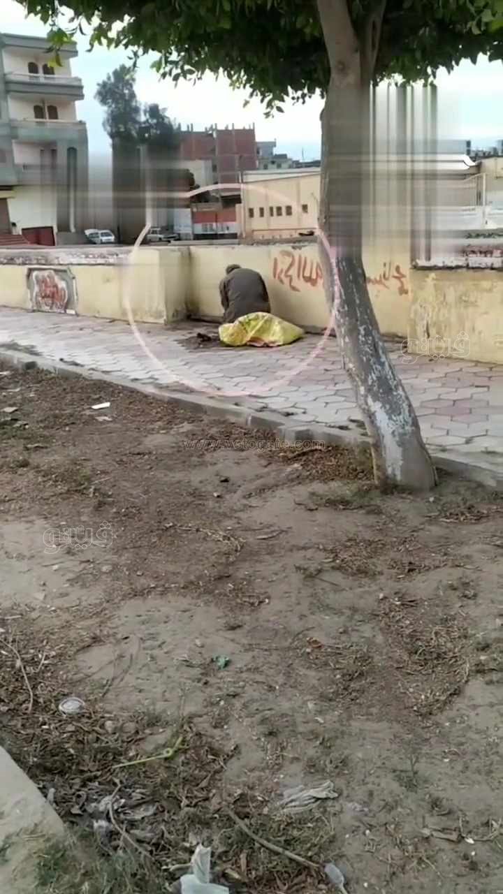  لص يسرق حديد كورنيش بالشرقية في عزالضهر،فيتو2