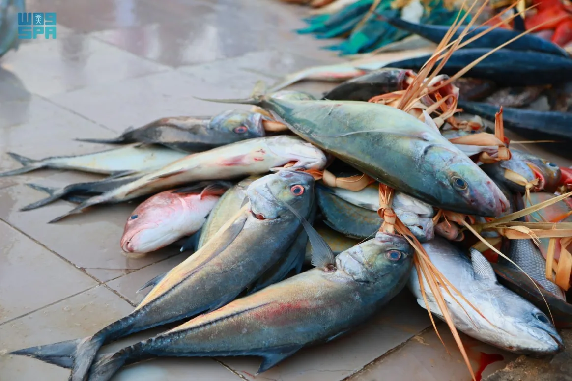 <strong>اسعار السمك</strong>