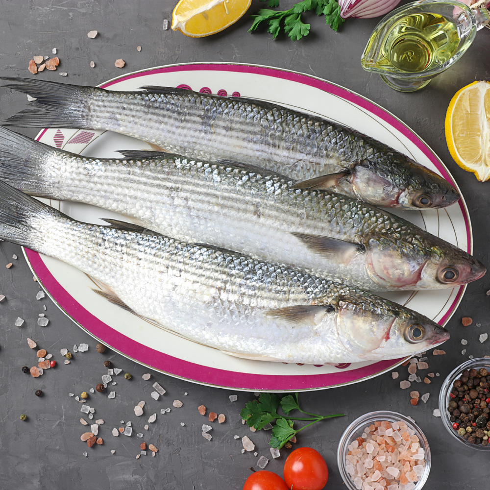 <strong>اسعار السمك</strong>