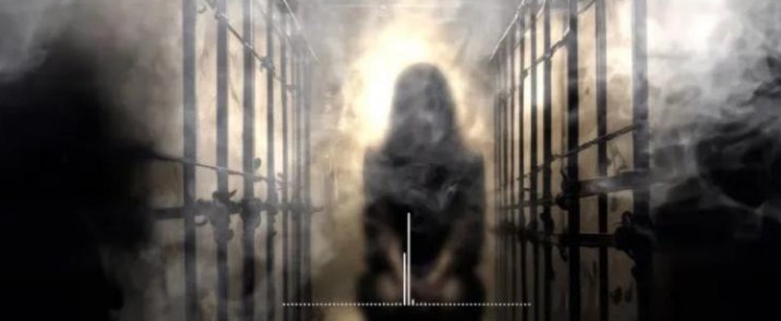 أسيرة إسرائيلية تعترف، فيتو