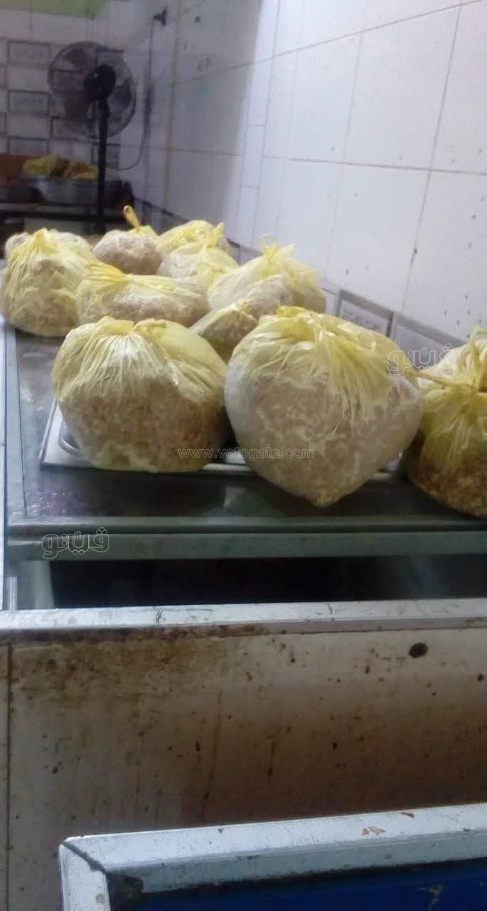 ضبط محل لحوم مخالف بزهور بورسعيد، فيتو
