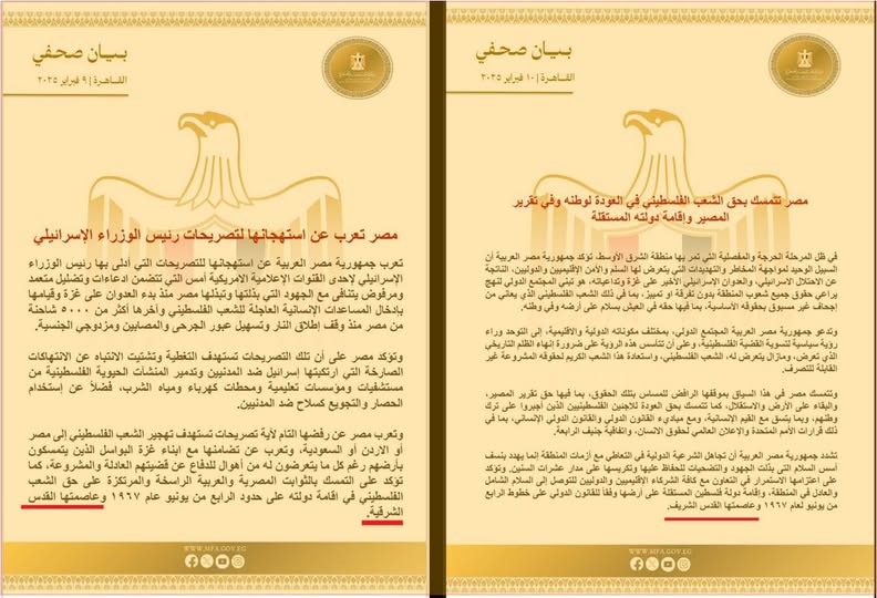 بيانات الخارجية المصرية يومي 9 و10 فبراير، فيتو