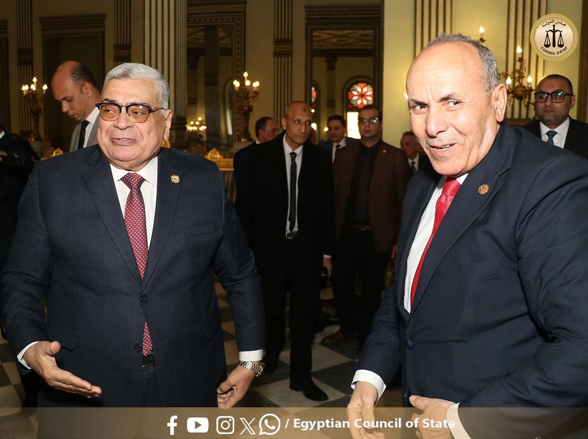 مجلس الدولة