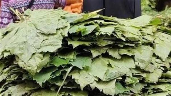 <strong>سعر الخضار </strong>