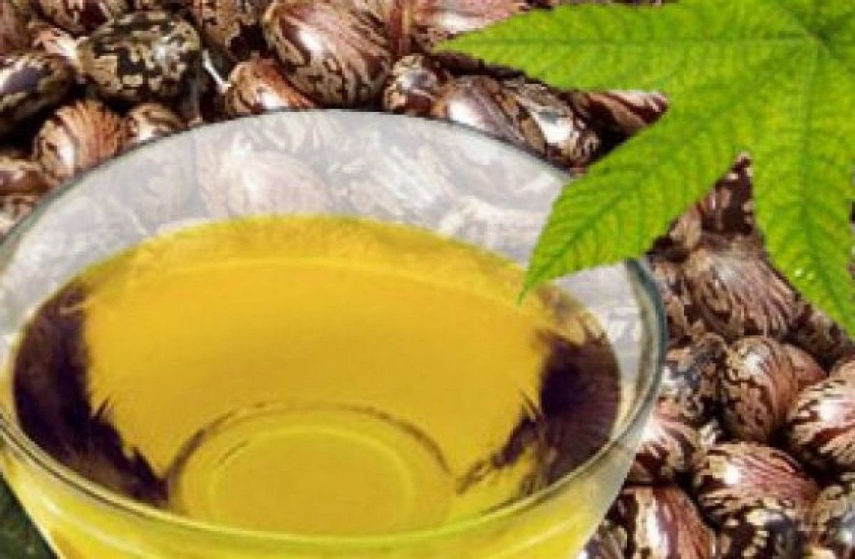 زيت السعد وفوائده