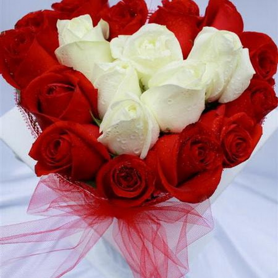 <strong>أسعار الورد في عيد الحب 2025</strong>