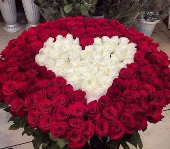 <strong>أسعار الورد في عيد الحب 2025</strong>