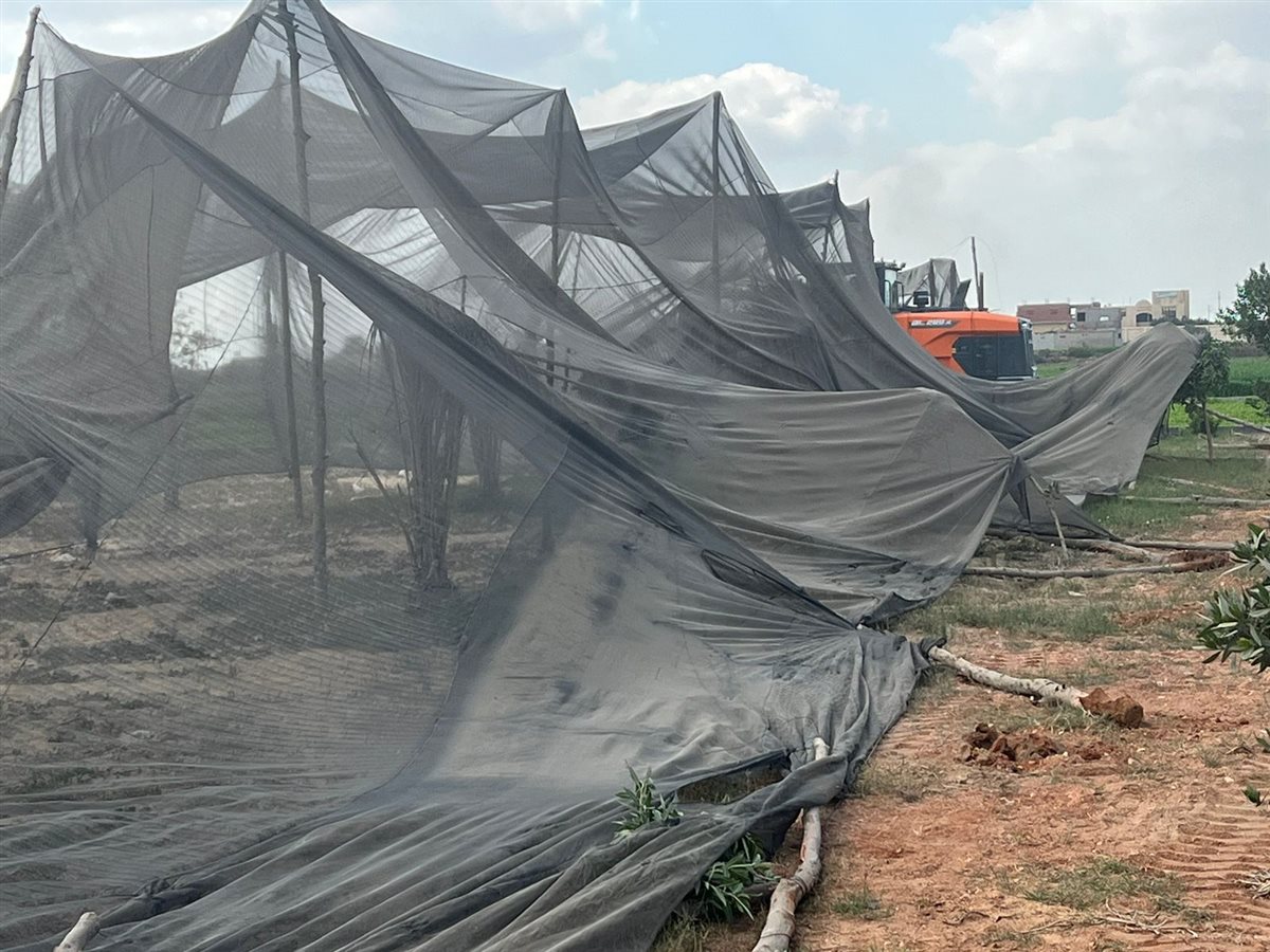 جانب من الحملة،فيتو