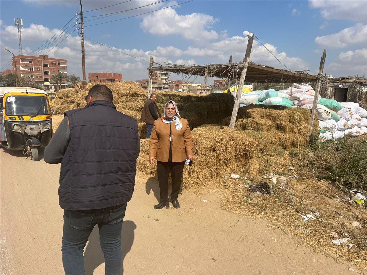 جانب من الحملة،فيتو