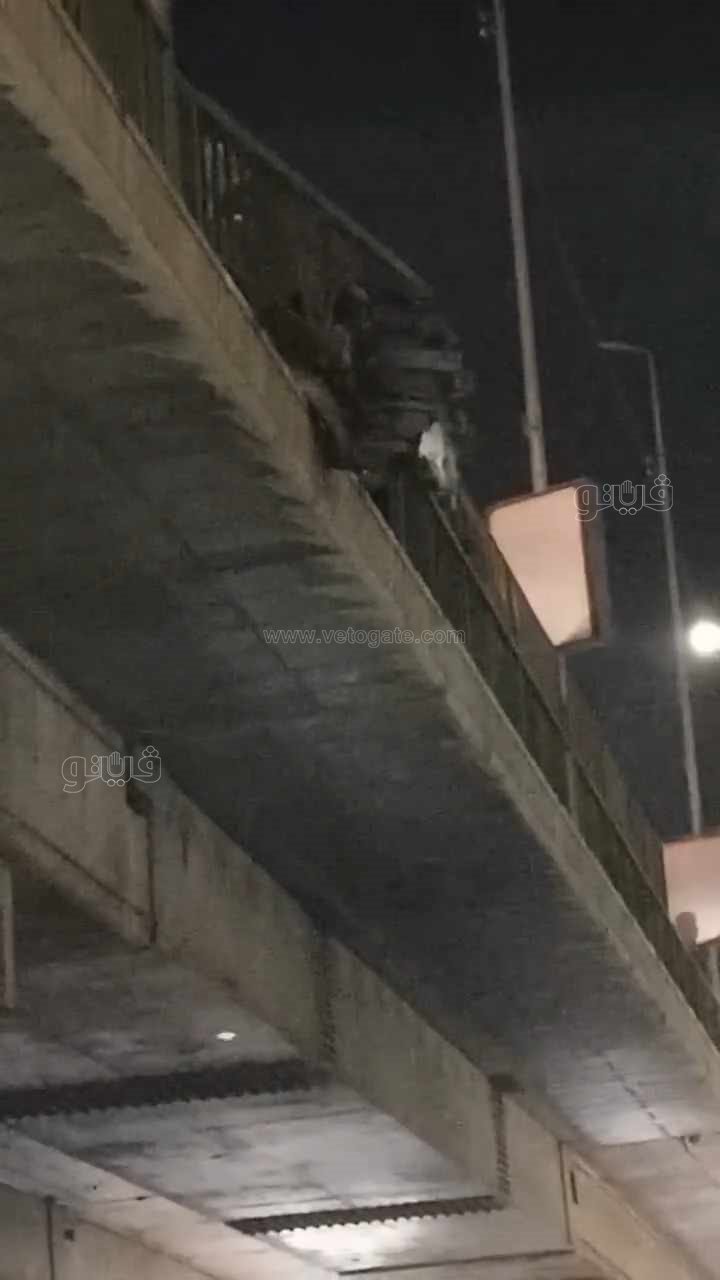 تكدس مروري بالشرقية بسبب سقوط سيارة من أعلى كوبري الصاغة،فيتو2