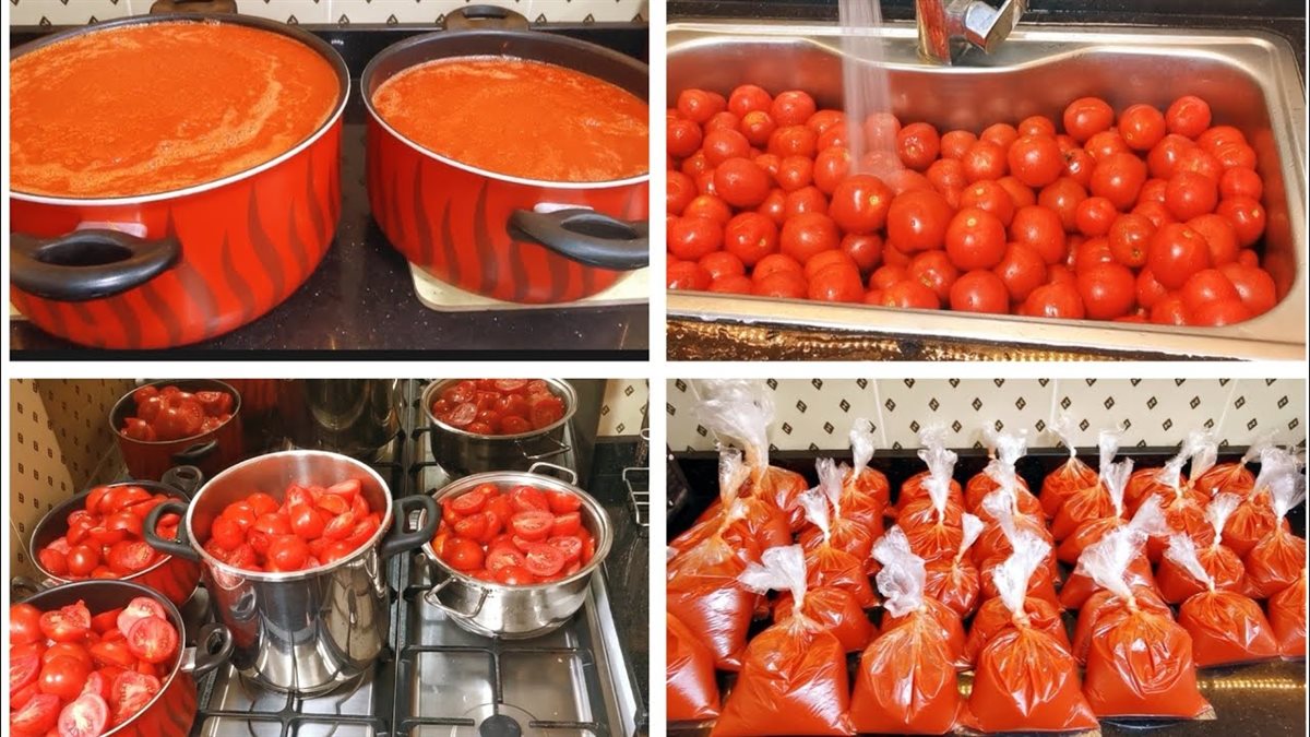 خطوات عمل صلصة الطماطم