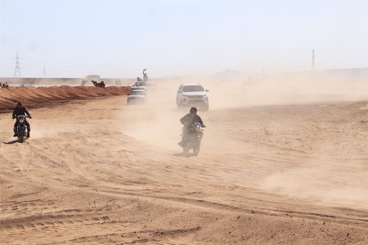 جانب من سباقات اليوم،فيتو