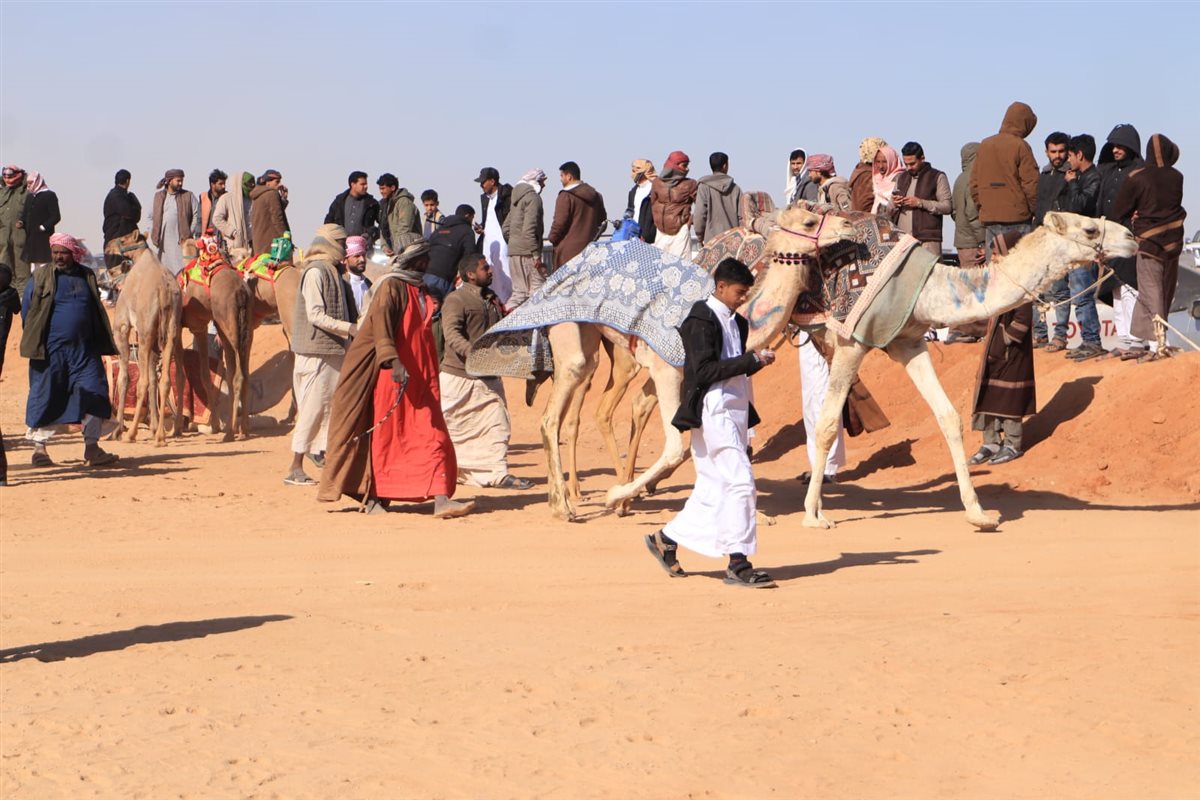 جانب من سباقات اليوم،فيتو