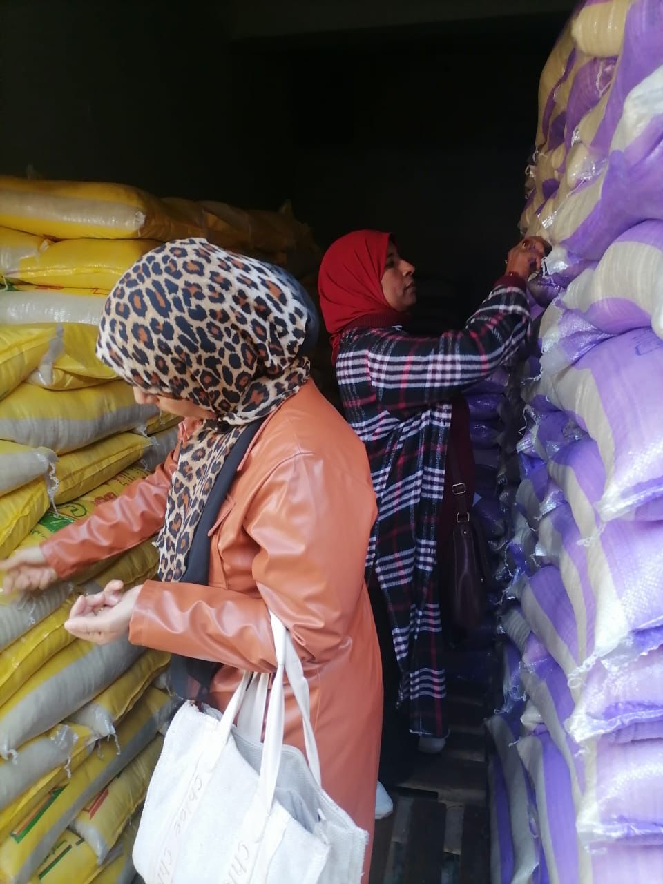 جانب من الحملات، فيتو