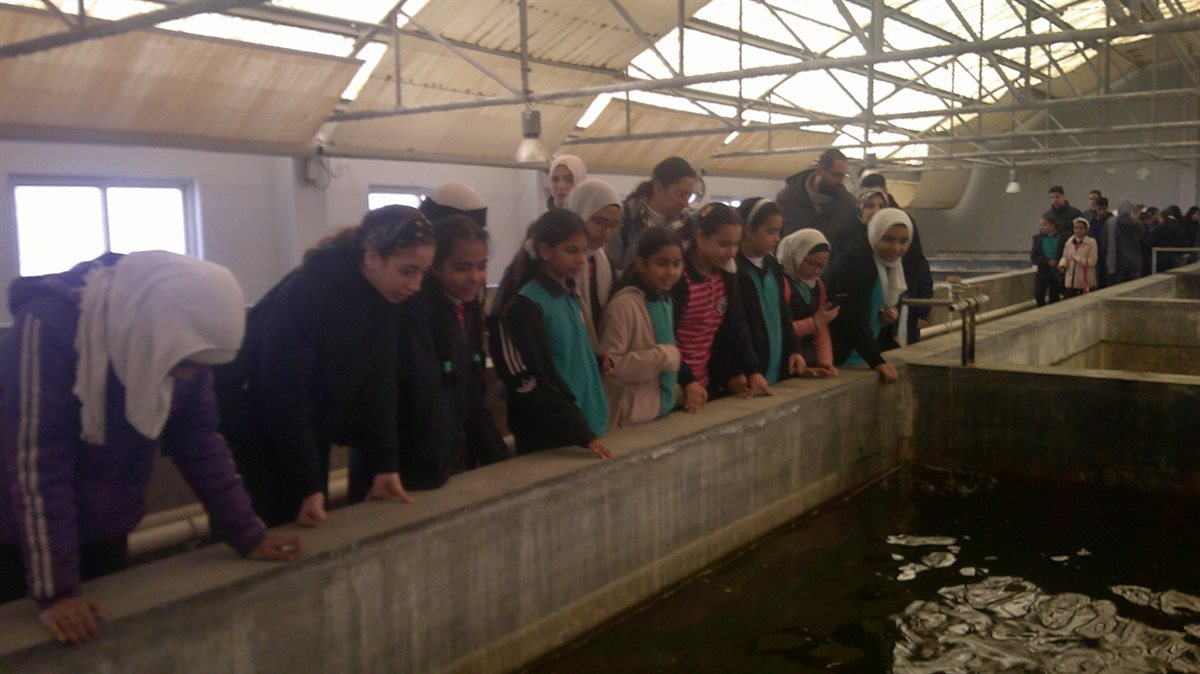 جانب من الزيارة، فيتو