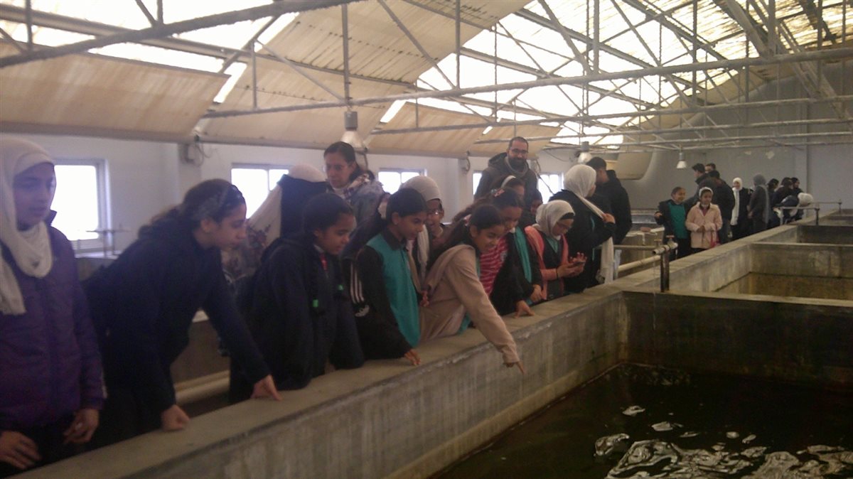 جانب من الزيارة، فيتو