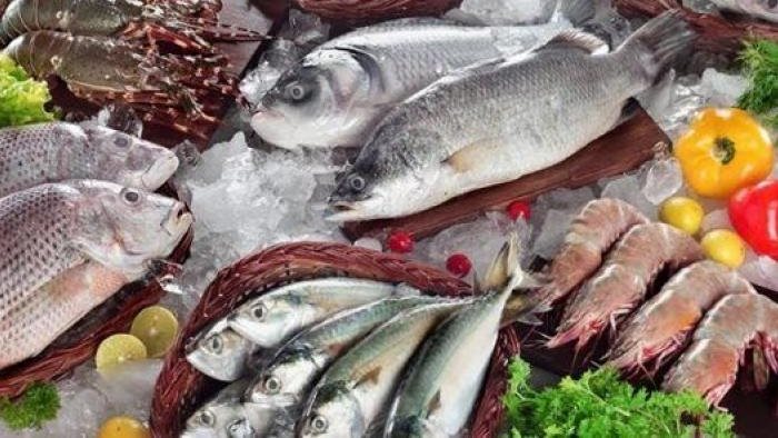 <strong>أسعار السمك</strong>