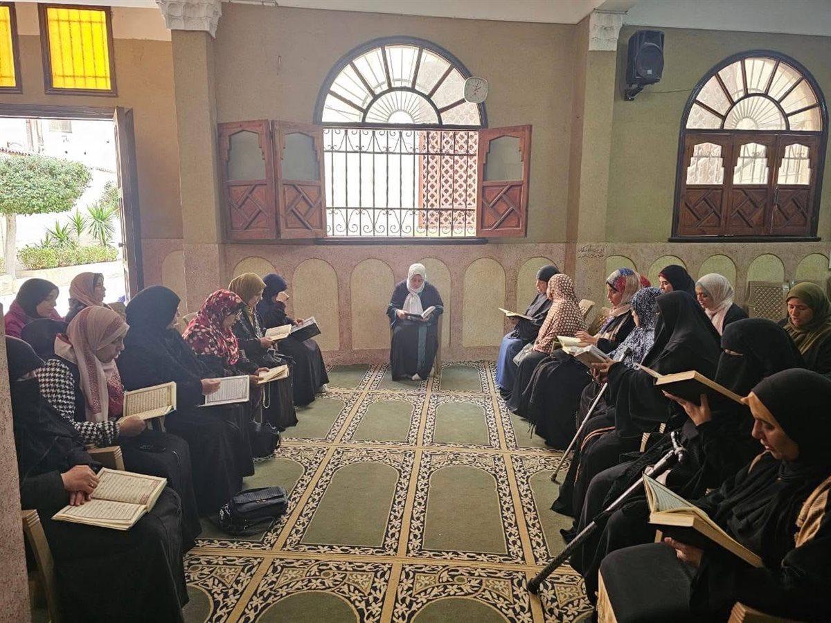 فعاليات مبادرة قطار الخير بالبحيرة، فيتو