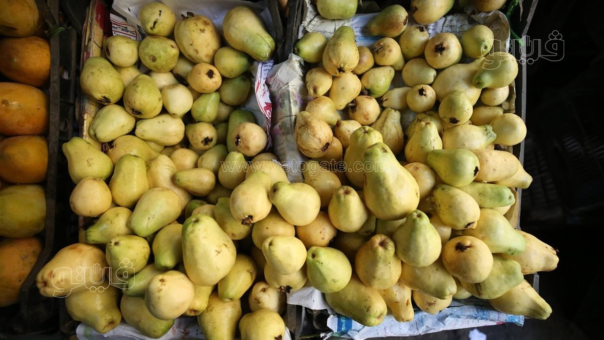 <strong>سعر الفاكهة</strong>