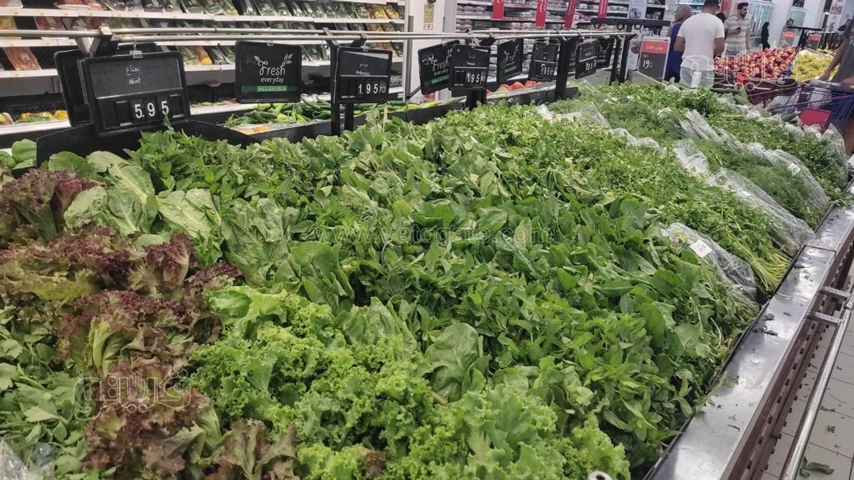 <strong>سعر الخضار</strong>