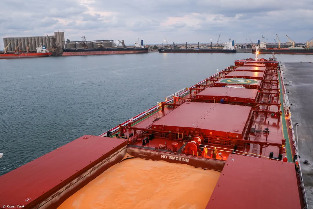 وصول السفينة  ( PANORMITIS ) والتي ترفع علم بنما ويبلغ طولها 169 م وعرضها 27 م القادمة من روسيا 