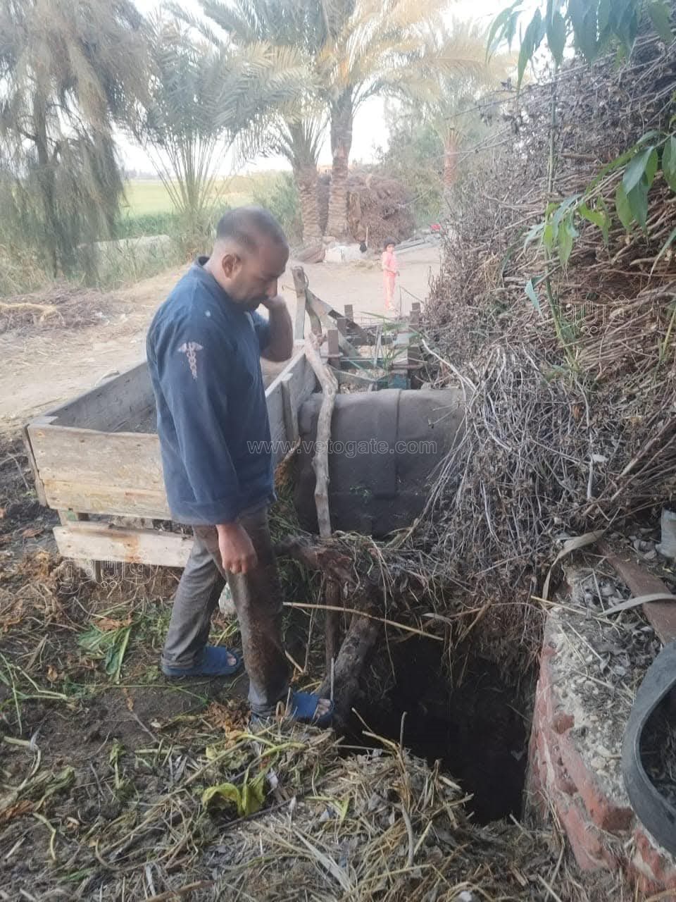 سقوط رئيس الطب الوقائي في بئر ببورسعيد، فيتو 