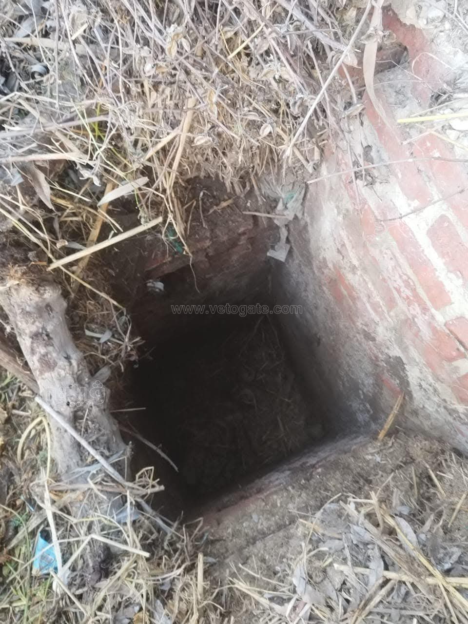 سقوط رئيس الطب الوقائي في بئر، فيتو 