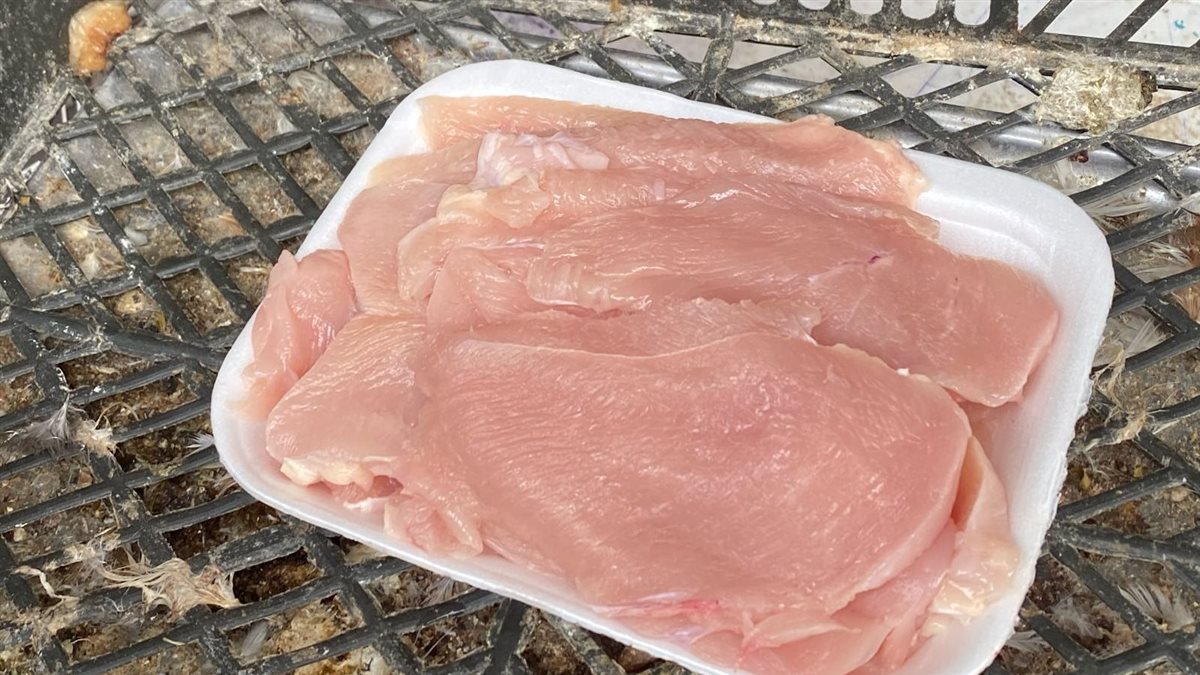 <strong>سعر الفراخ اليوم</strong>