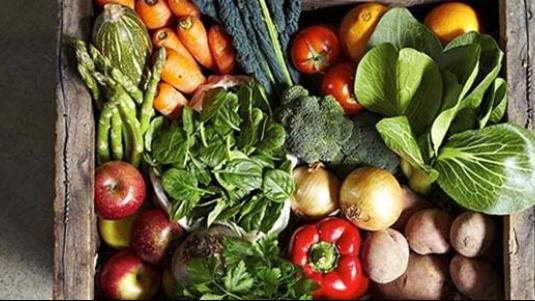 <strong>اسعار الخضار</strong>