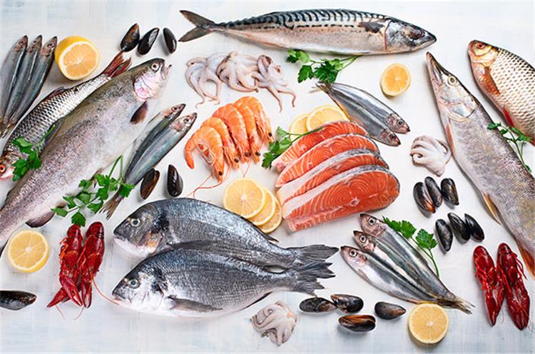 <strong>سعر السمك</strong>