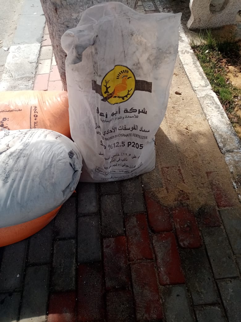 جانب من أعمال التطوير،فيتو