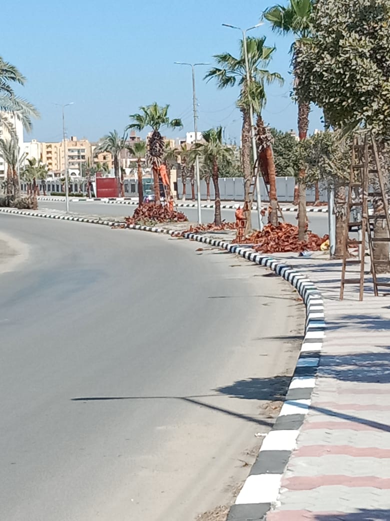 جانب من أعمال التطوير،فيتو