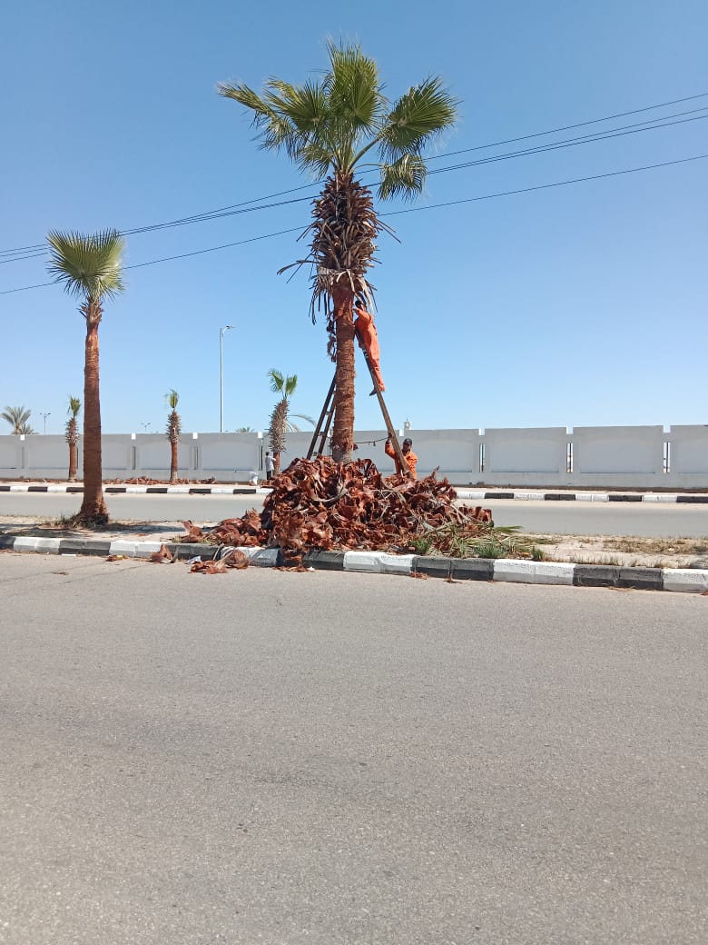 جانب من أعمال التطوير،فيتو