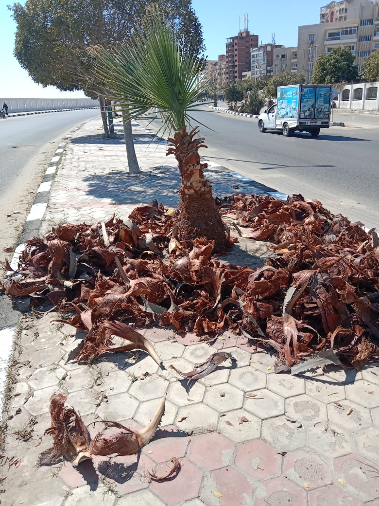 جانب من أعمال التطوير،فيتو