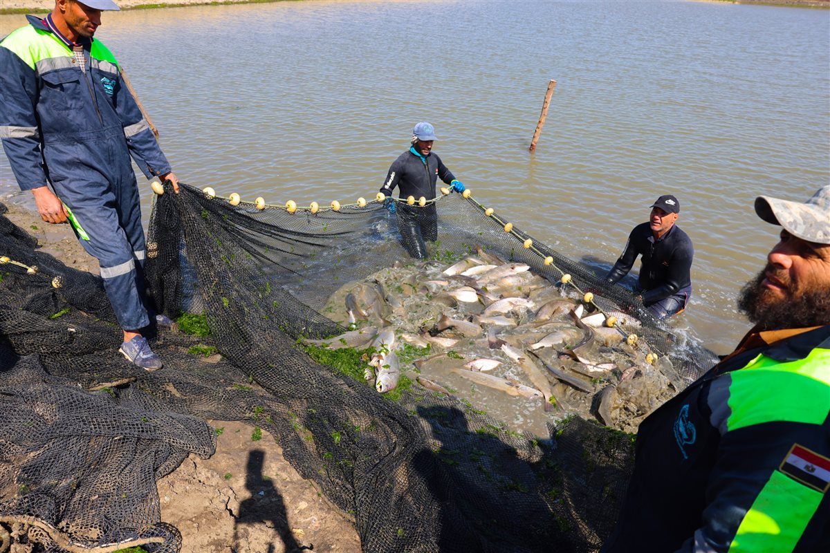 جانب من الزيارة،فيتو