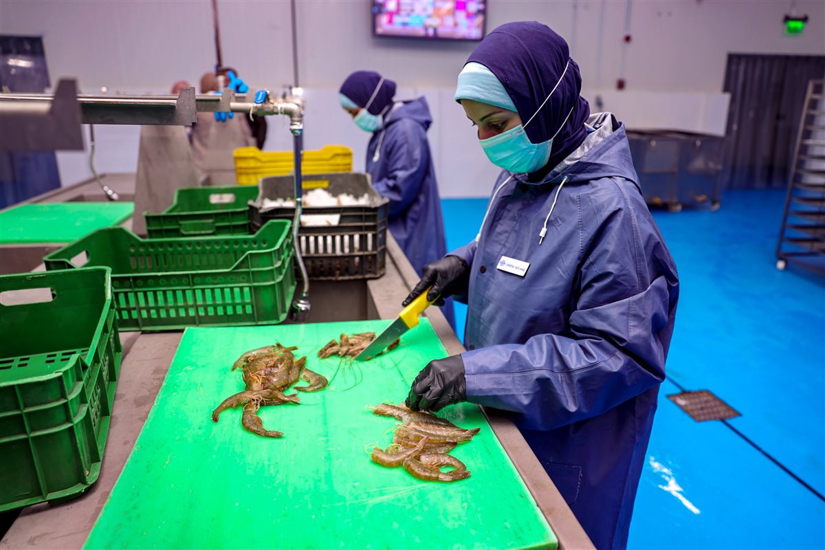 جانب من الزيارة،فيتو