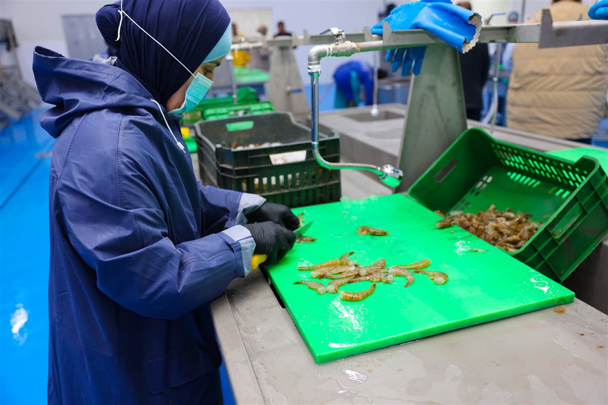 جانب من الزيارة،فيتو