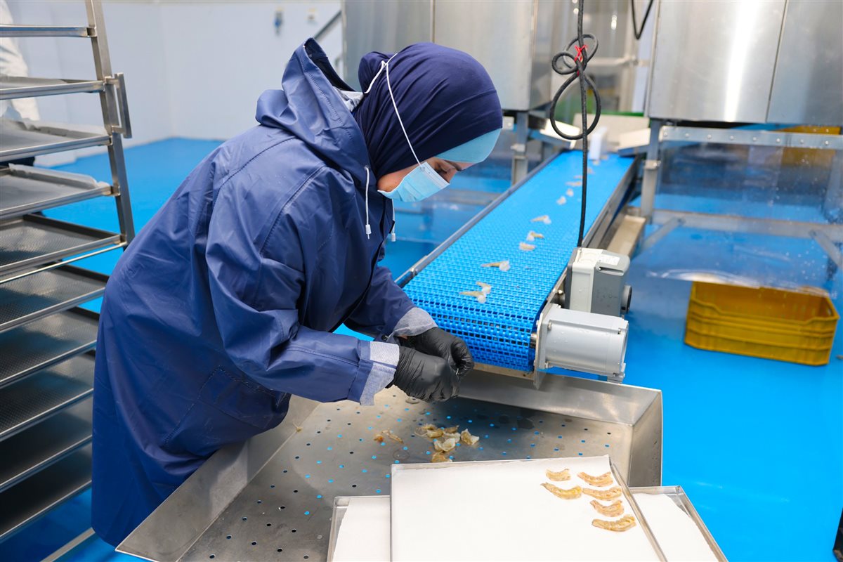 جانب من الزيارة،فيتو