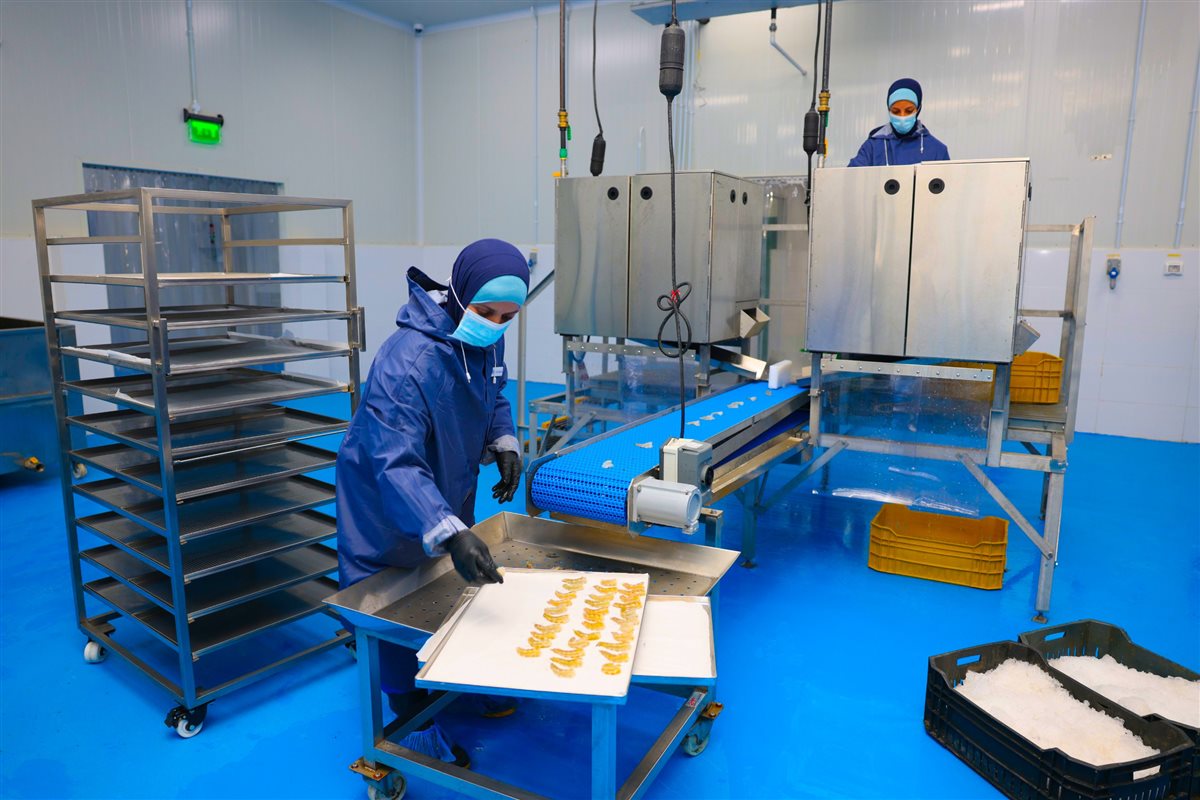 جانب من الزيارة،فيتو