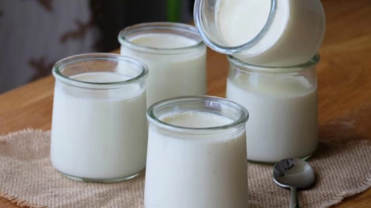 اللبن الرايب لصحتك