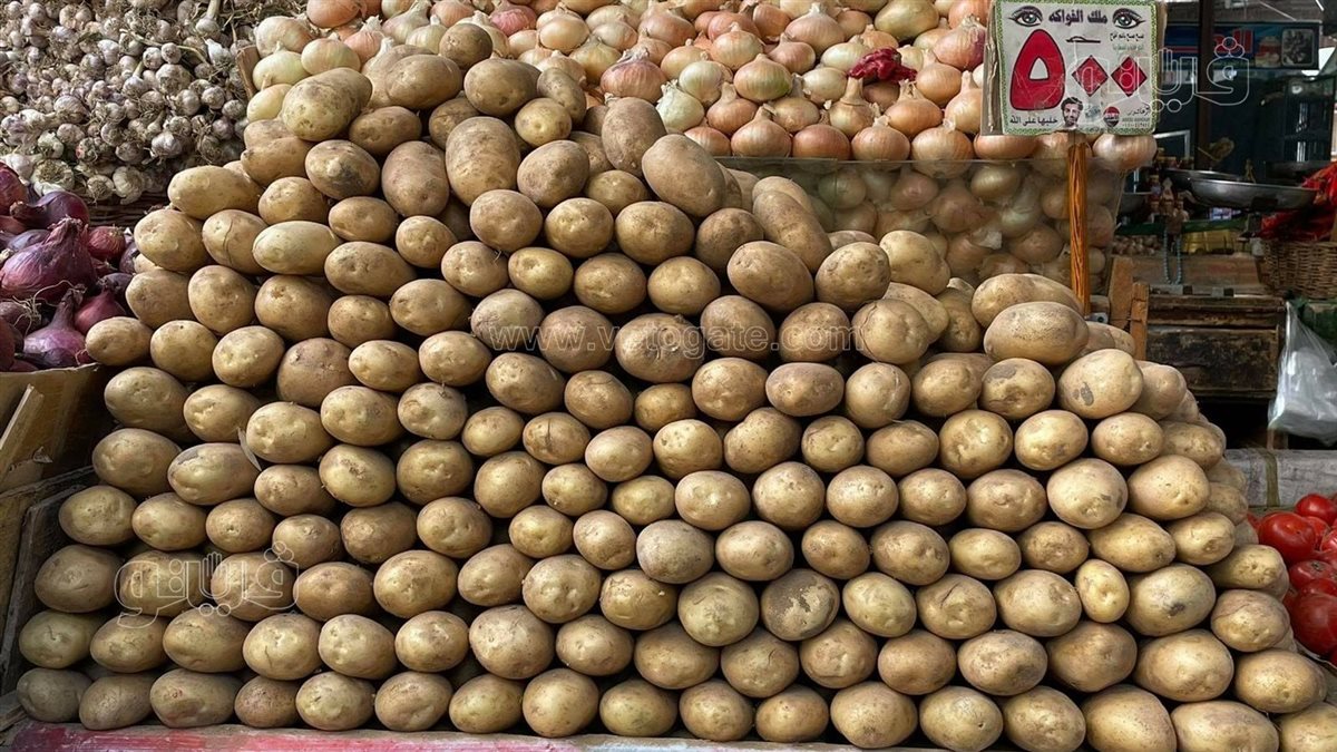 أسعار الخضار