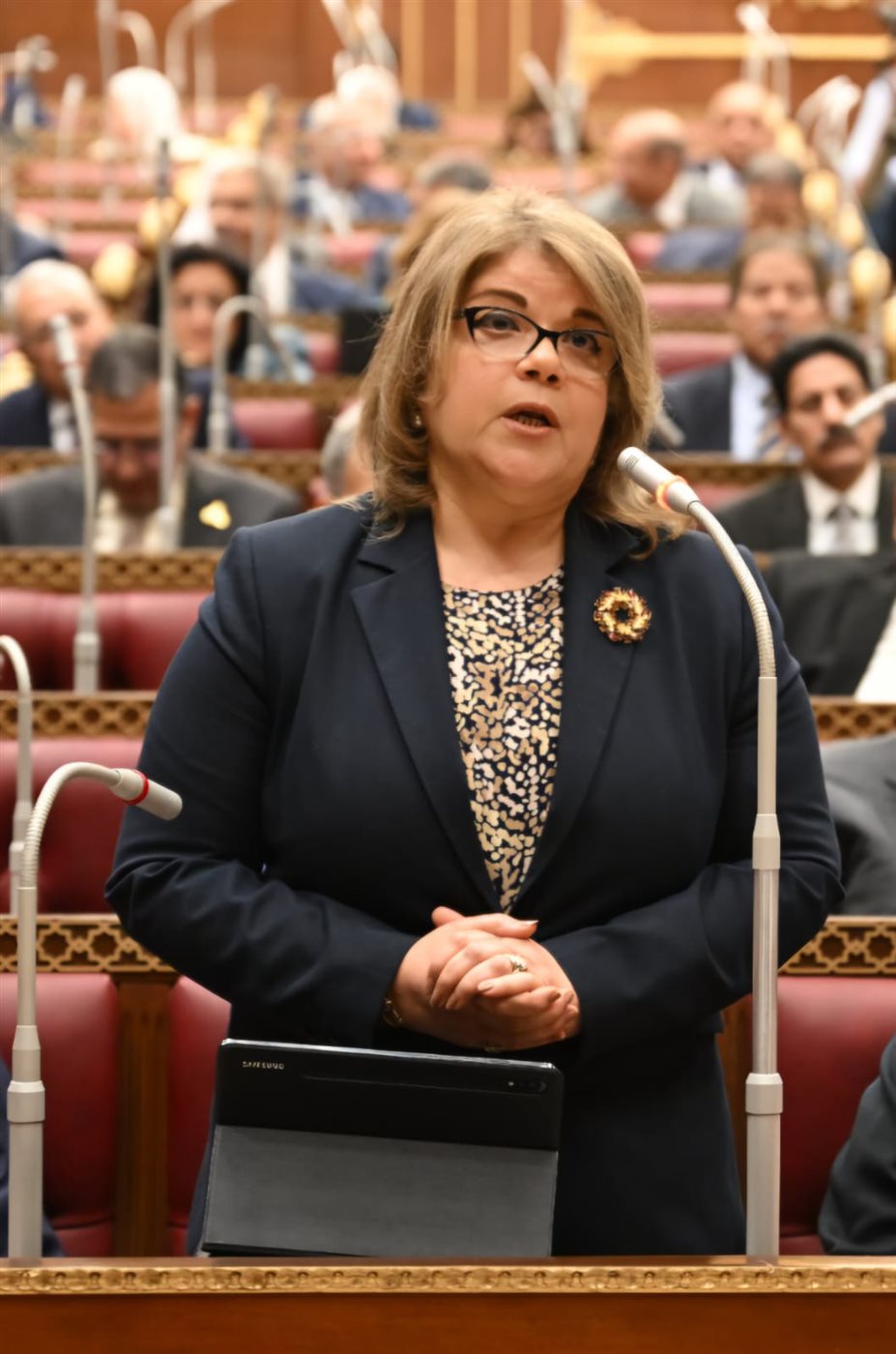 النائبة فيبي فوزي وكيل مجلس الشيوخ