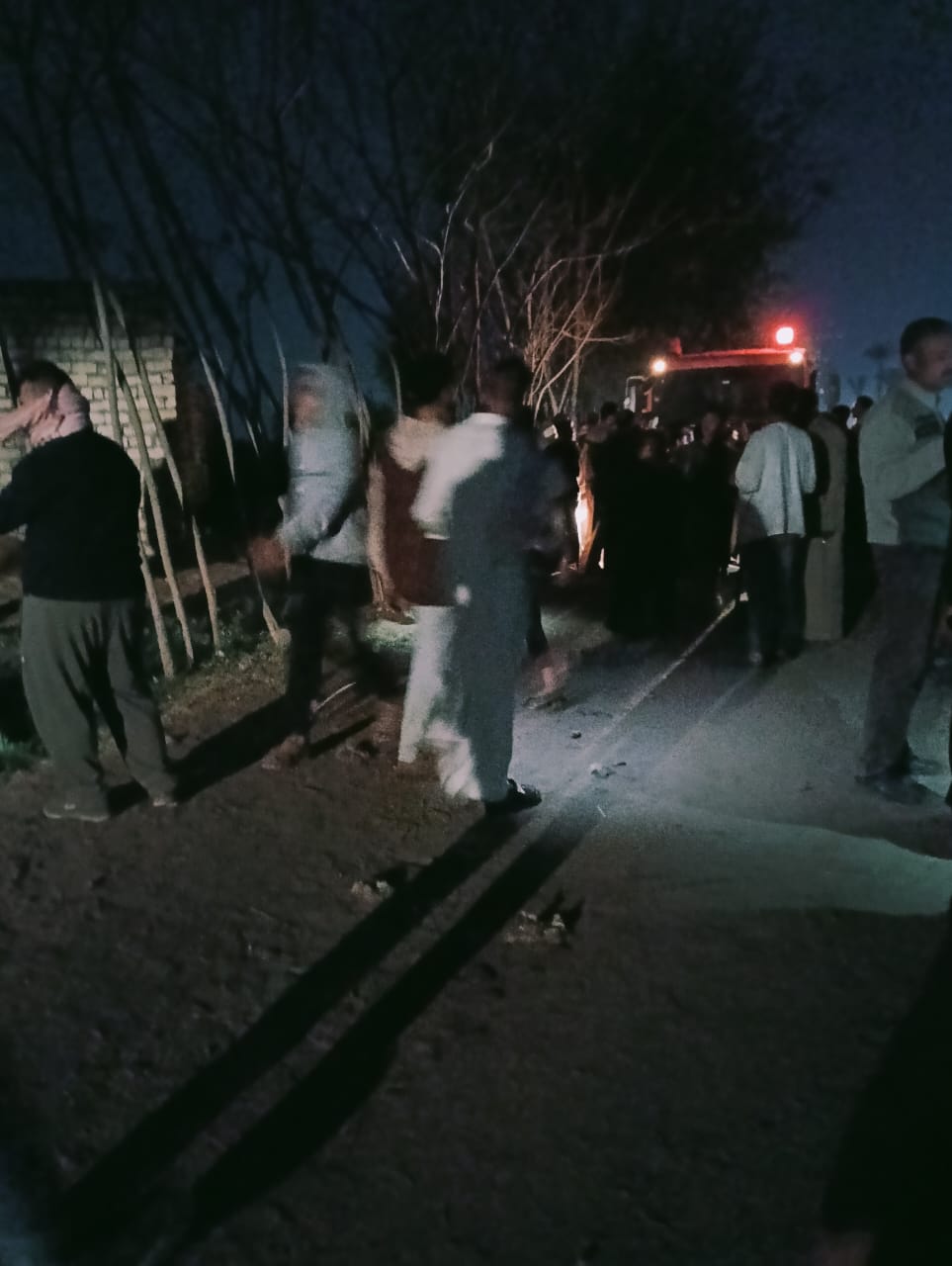 حريق مزرعة دواجن بالقليوبية،فيتو