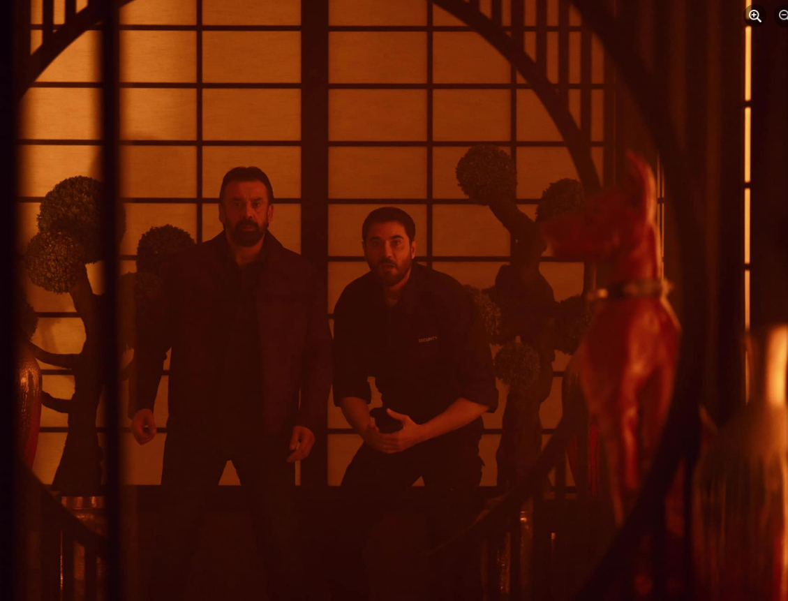 فيلم تركي آل الشيخ الجديد، فيتو