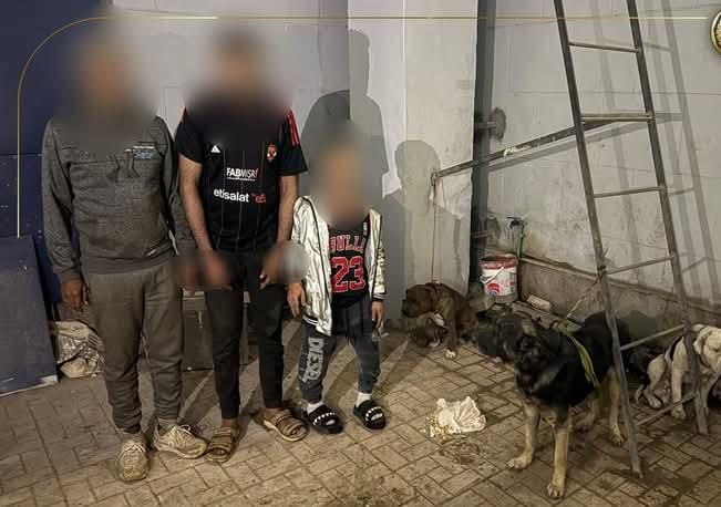 الأمن يضبط المتهمين بالإتجار بالكلاب الشرسة في الخصوص