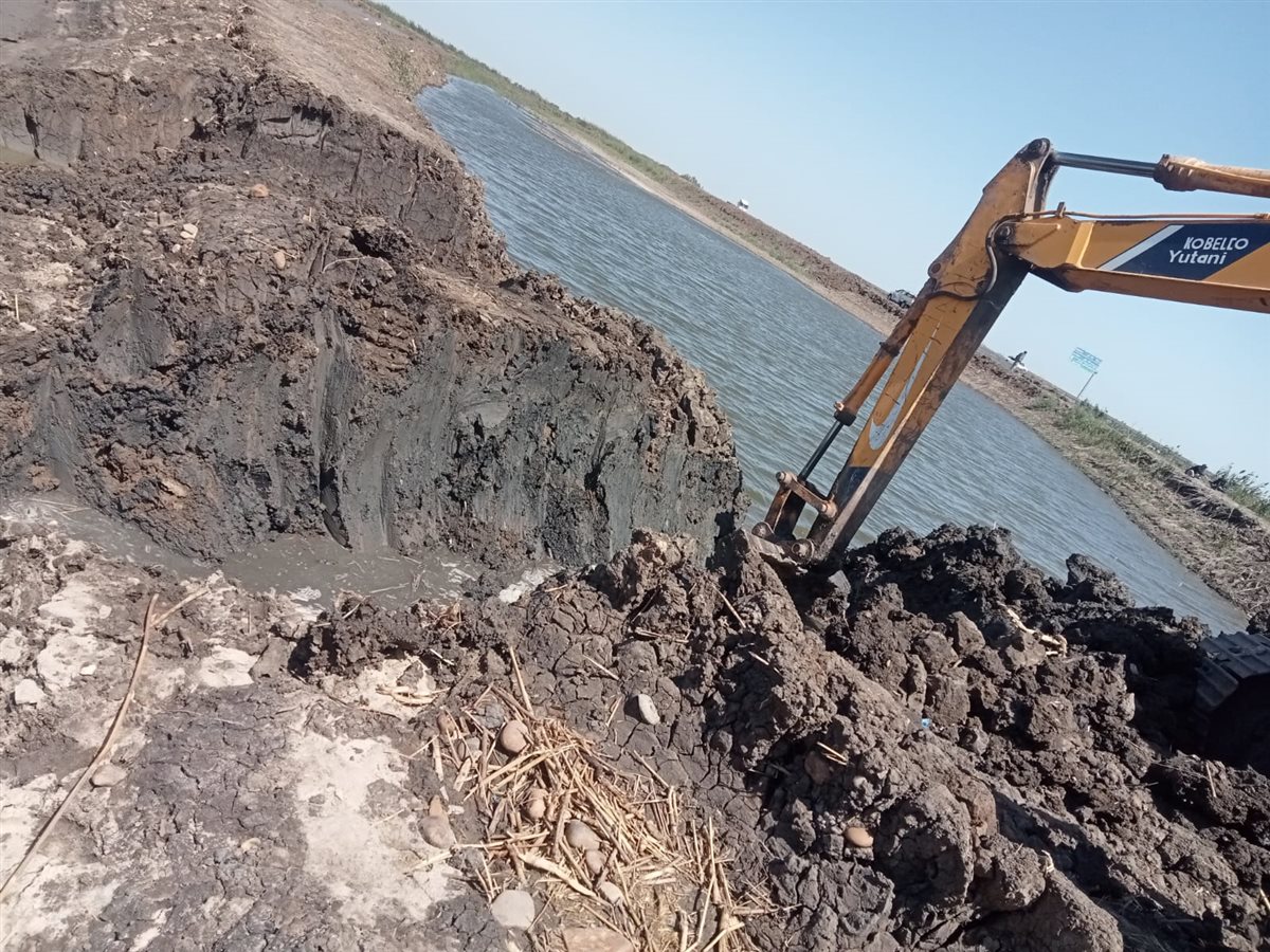 جانب من حملات الإزالة، فيتو