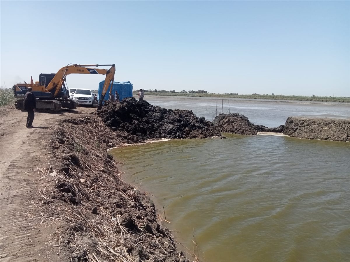 جانب من حملات الإزالة، فيتو