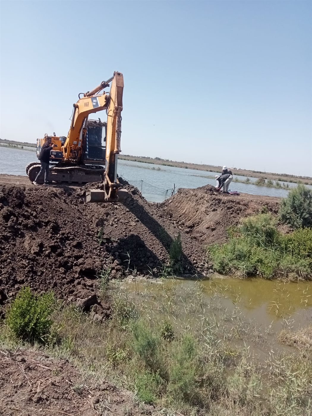 جانب من حملات الإزالة، فيتو