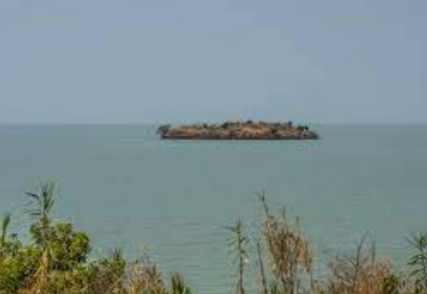 حوض بحيرة تانا، فيتو