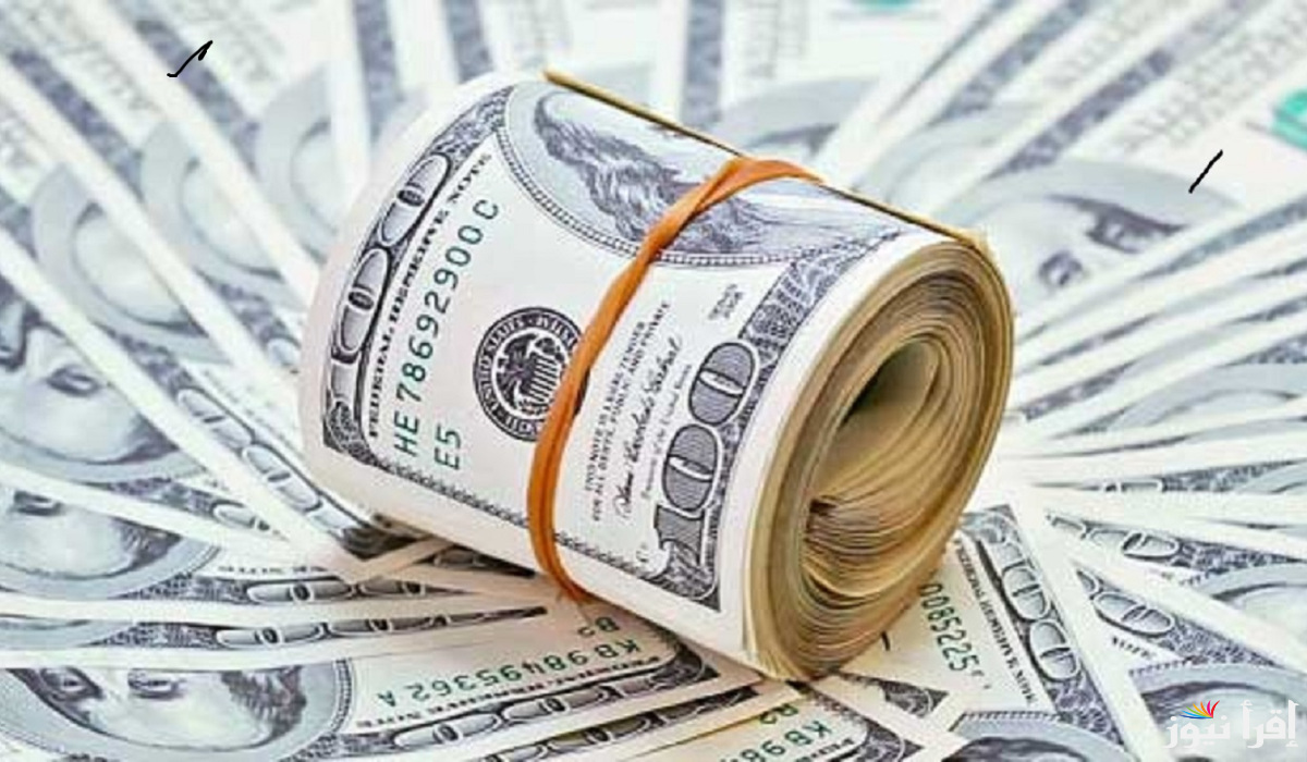 سعر الدولار